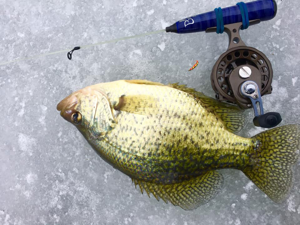 ice fishing for crappie rod