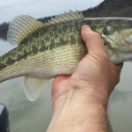 best states for bass fishing spotted bass