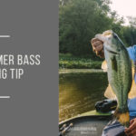 Hot Summer Bass Fishing Tip