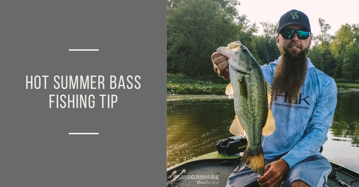 Hot Summer Bass Fishing Tip