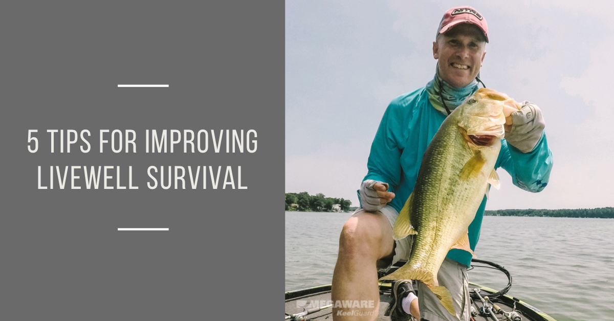 5-tips-for-improving-livewell-survival