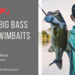 catch-big-bass-with-swimbaits