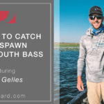 3 lures to catch pre-spawn largemouth bass