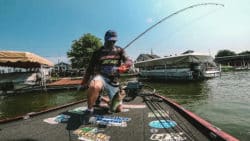 skipping-docks-catch